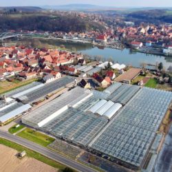 Gärtnerei Hofmann Rainer in Segnitz am Main Luftbild Gärtnerei Hofmann Rainer in Segnitz am Main Luftbild